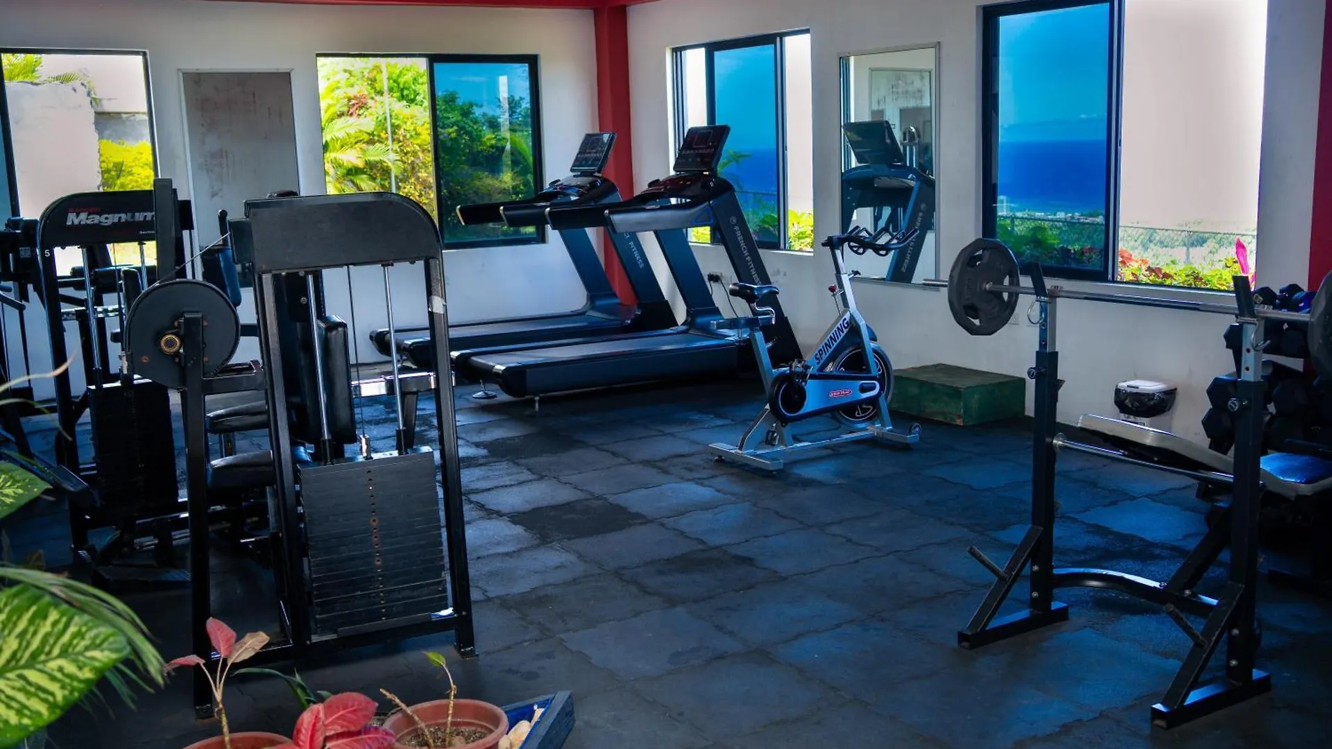 Pensjonat Pyramid Dreamstay 67 Ocho Rios